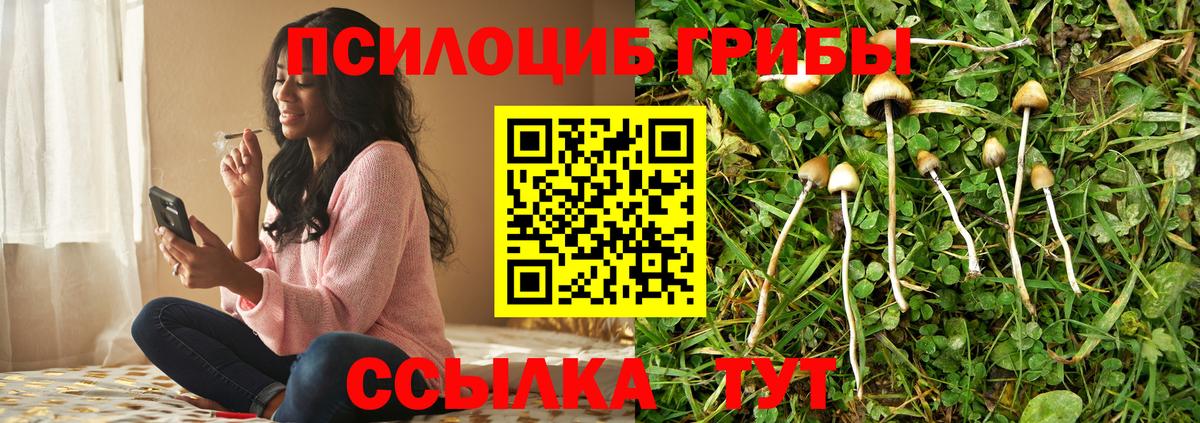 Галлюциногенные грибы GOLDEN TEACHER Алатырь