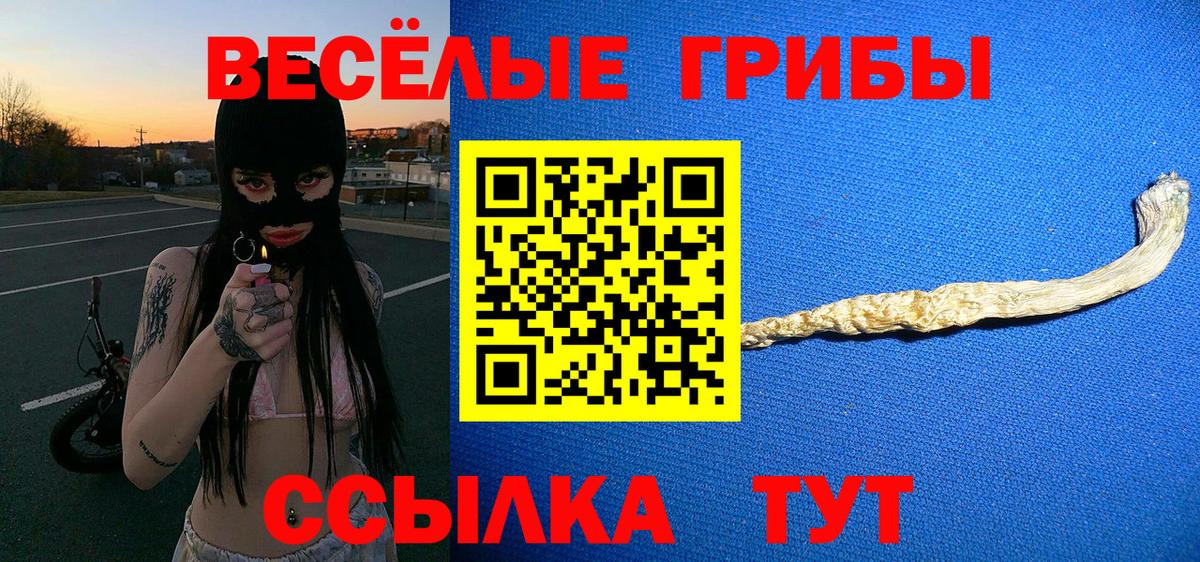 Алатырь  Галлюциногенные грибы мицелий  магазин продажи   Вход с VPN 